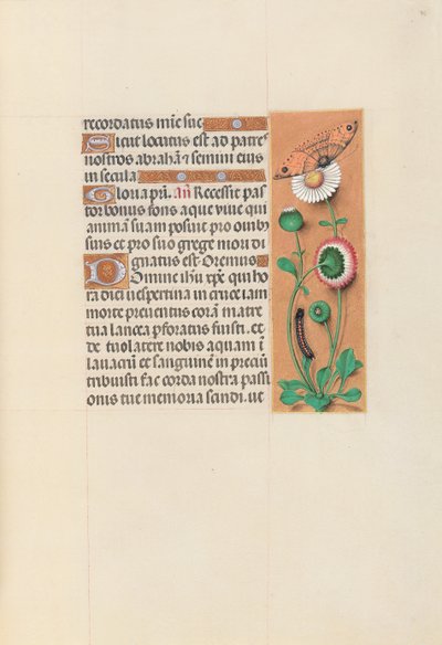 Ore di Isabella la Cattolica, Regina di Spagna: Fol. 76r, c. 1500 da Master of the First Prayerbook of Maximillian
