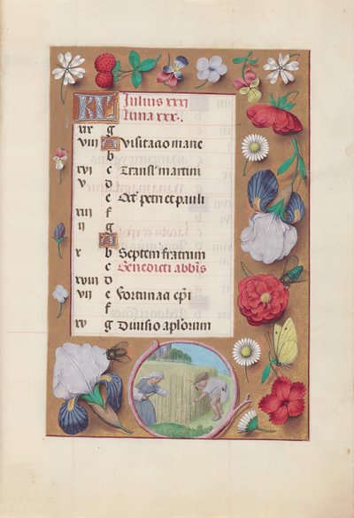 Ore di Isabella la Cattolica, Regina di Spagna: Fol. 8r, Luglio - Raccolta del grano, c. 1500 da Master of the First Prayerbook of Maximillian