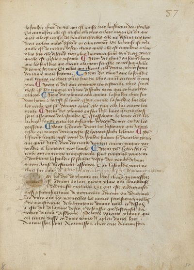 P iniziale storicizzata: diluvio di rospi, raganelle e parassiti da Master of the Geneva Boccaccio