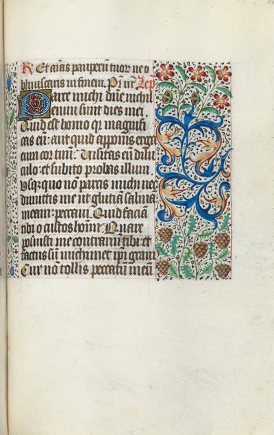 Libro d