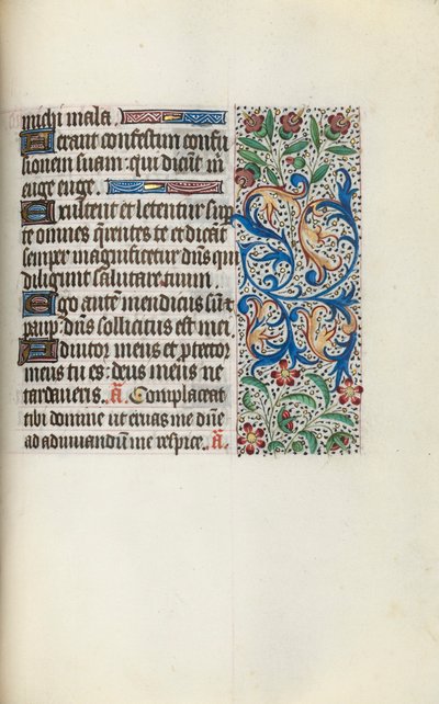 Libro d