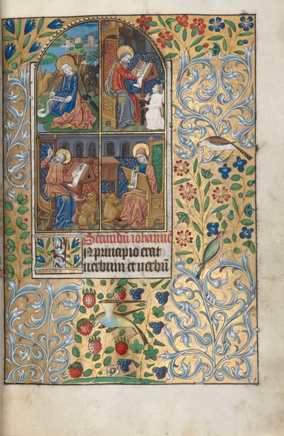 Libro d