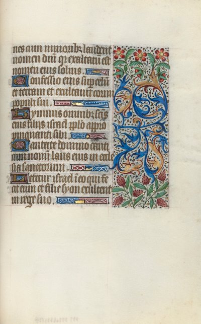 Libro d