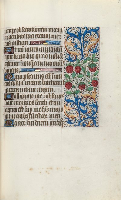 Libro d