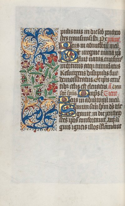 Libro d
