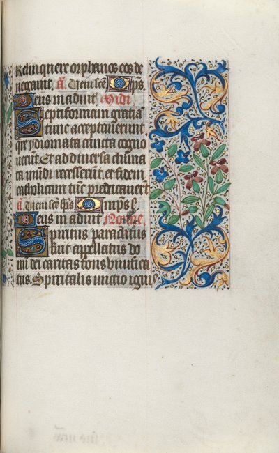 Libro d