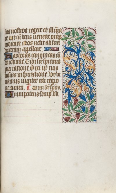 Libro d