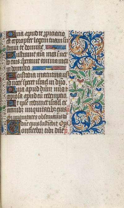 Libro d