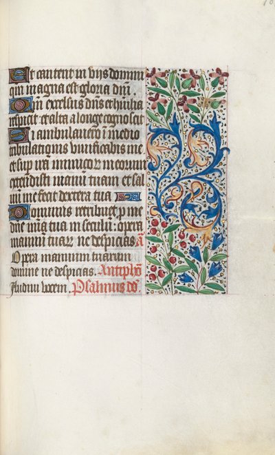 Libro d
