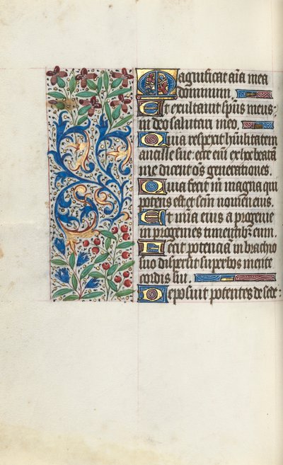 Libro d