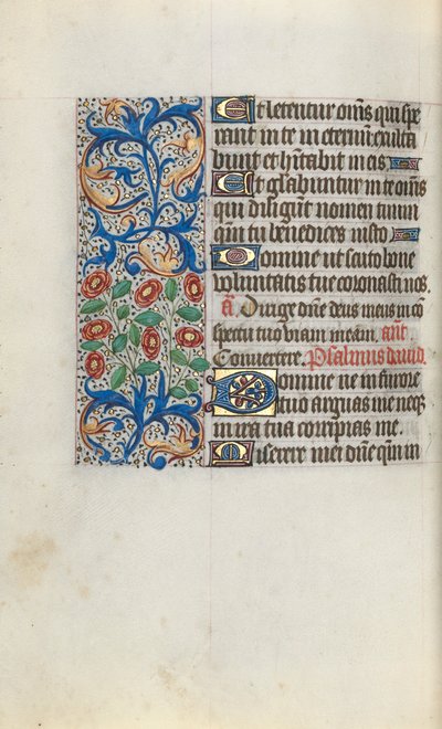 Libro d