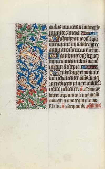 Libro d