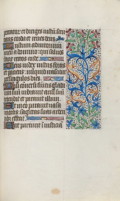 Libro d