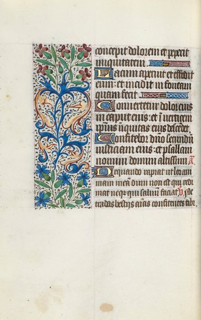 Libro d