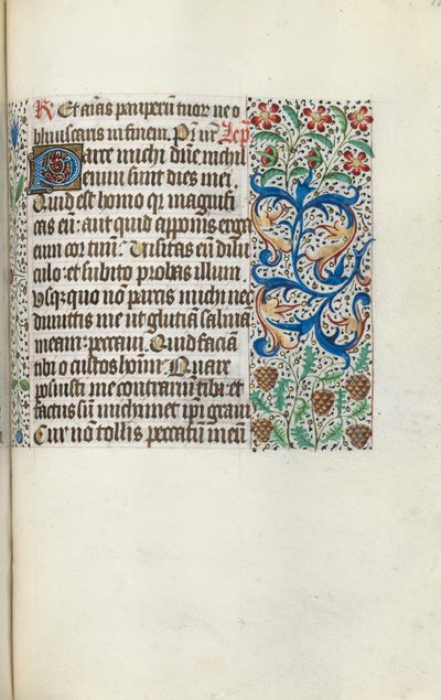 Libro d