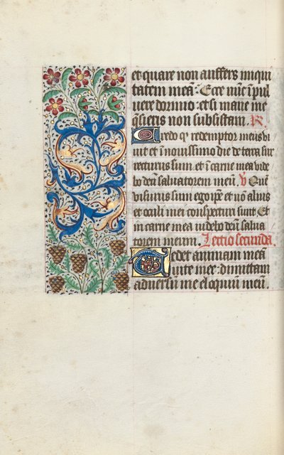 Libro d