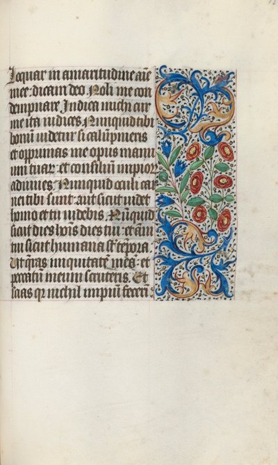 Libro d