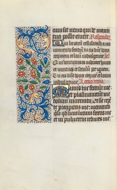 Libro d