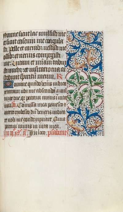Libro d