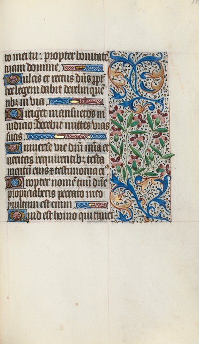 Libro d