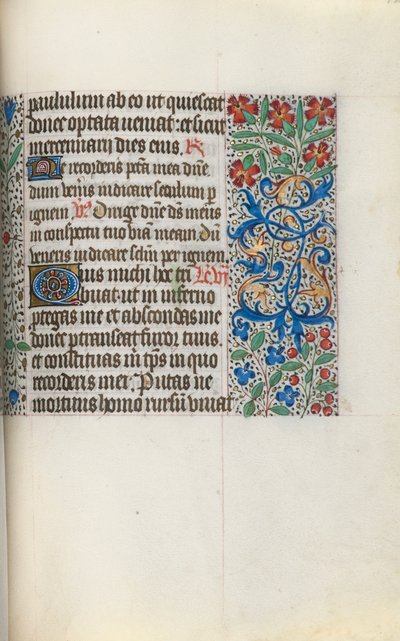 Libro d