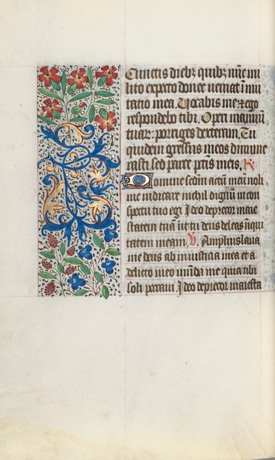 Libro d