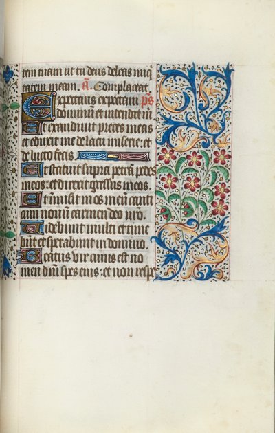 Libro d