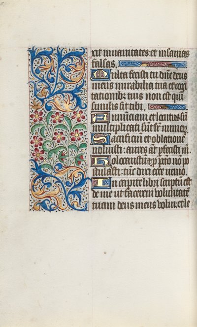 Libro d