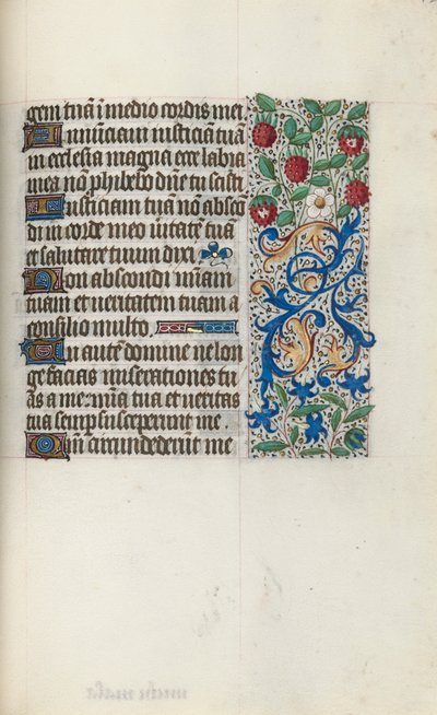 Libro d