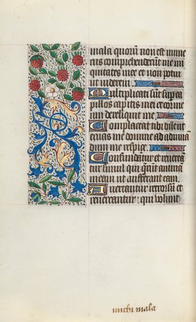 Libro d
