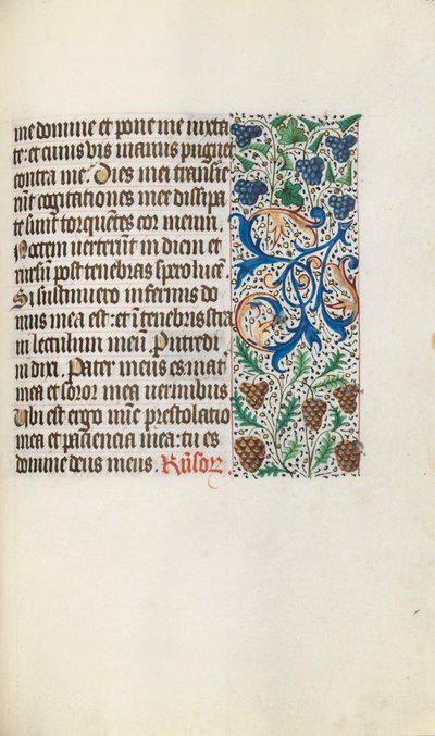 Libro d