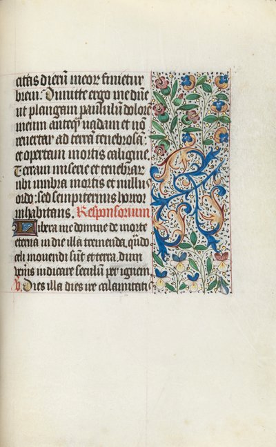 Libro d