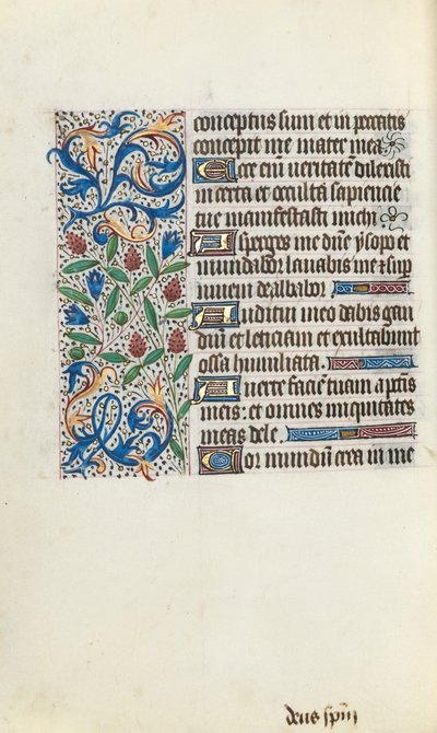 Libro d