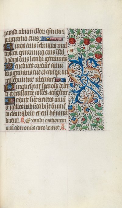 Libro d