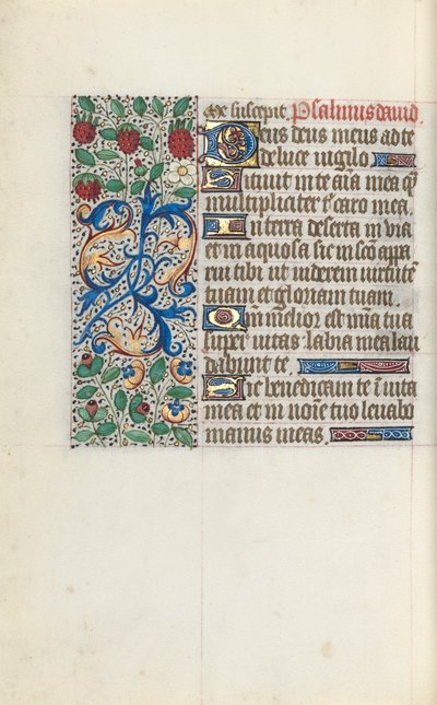 Libro d