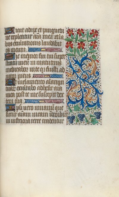 Libro d