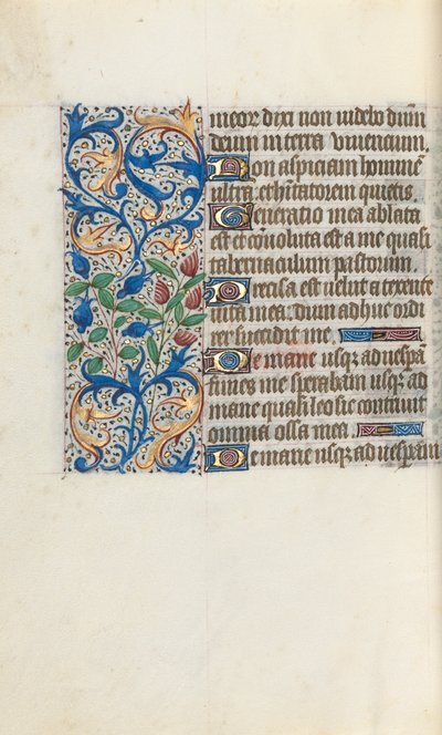 Libro d