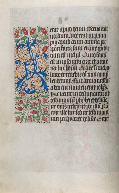 Libro d