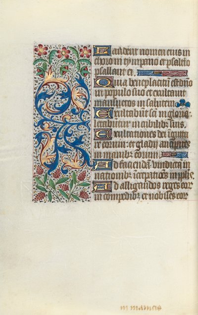 Libro d