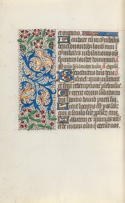 Libro d