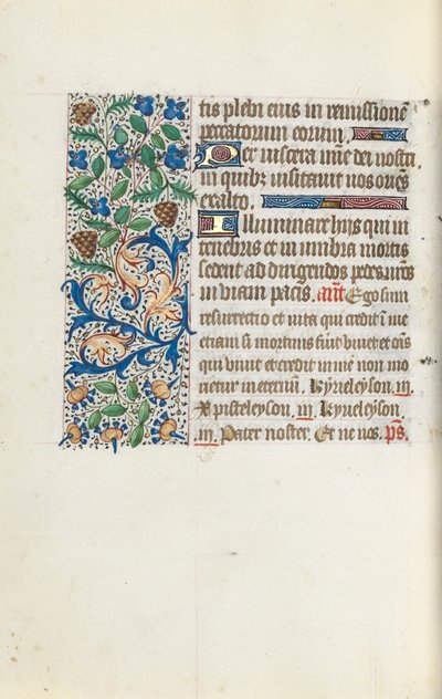 Libro d