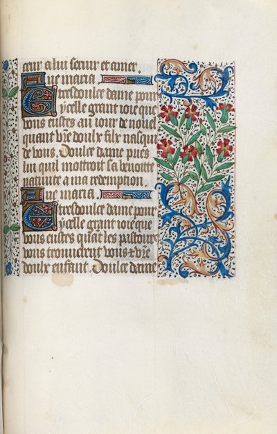 Libro d
