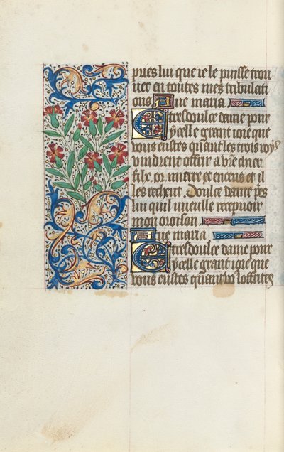 Libro d