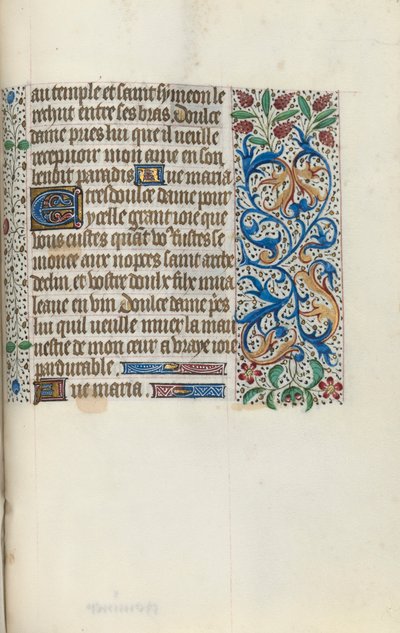 Libro d