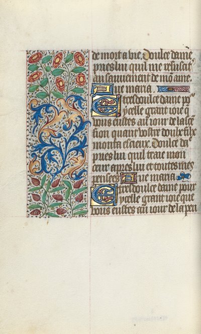 Libro d