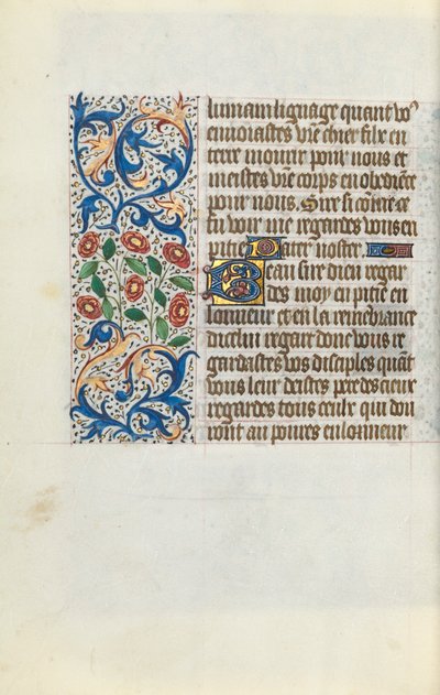 Libro d