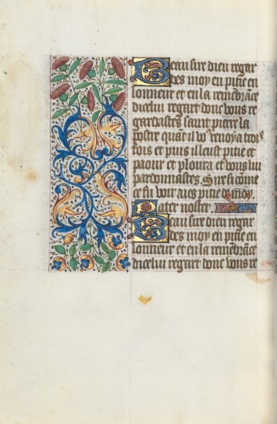 Libro d