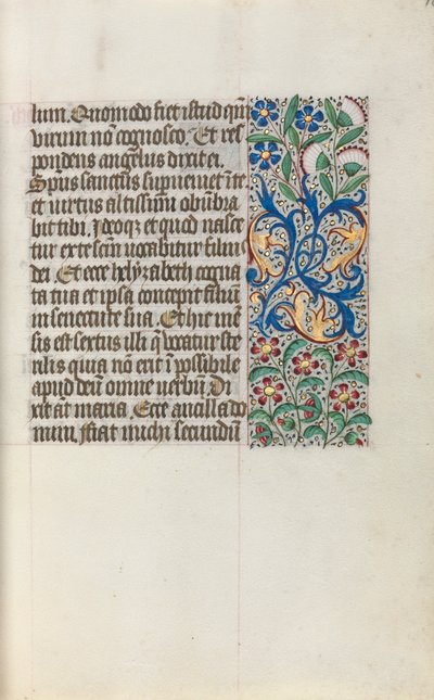Libro d