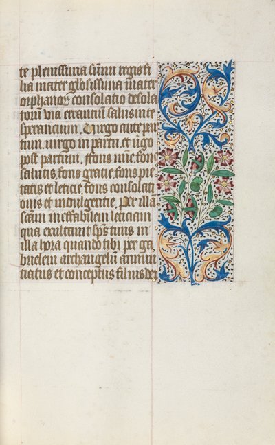 Libro d