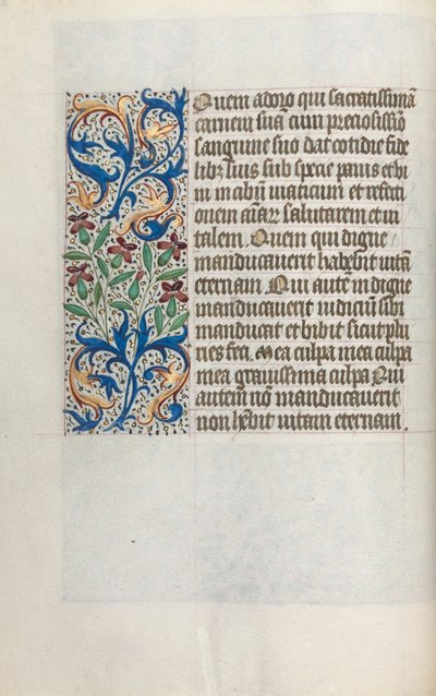 Libro d